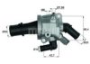 FIAT 55224021 Thermostat, coolant